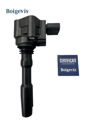 079905110J Bobina di accensione per VW AUDI A6 VAG SEAT SKODA BENTLEY